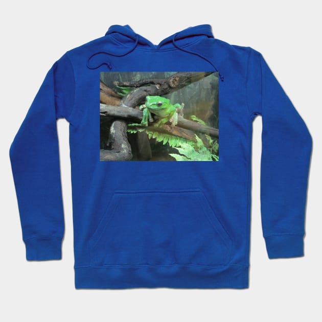 Green frog, photography. Hoodie by Design images